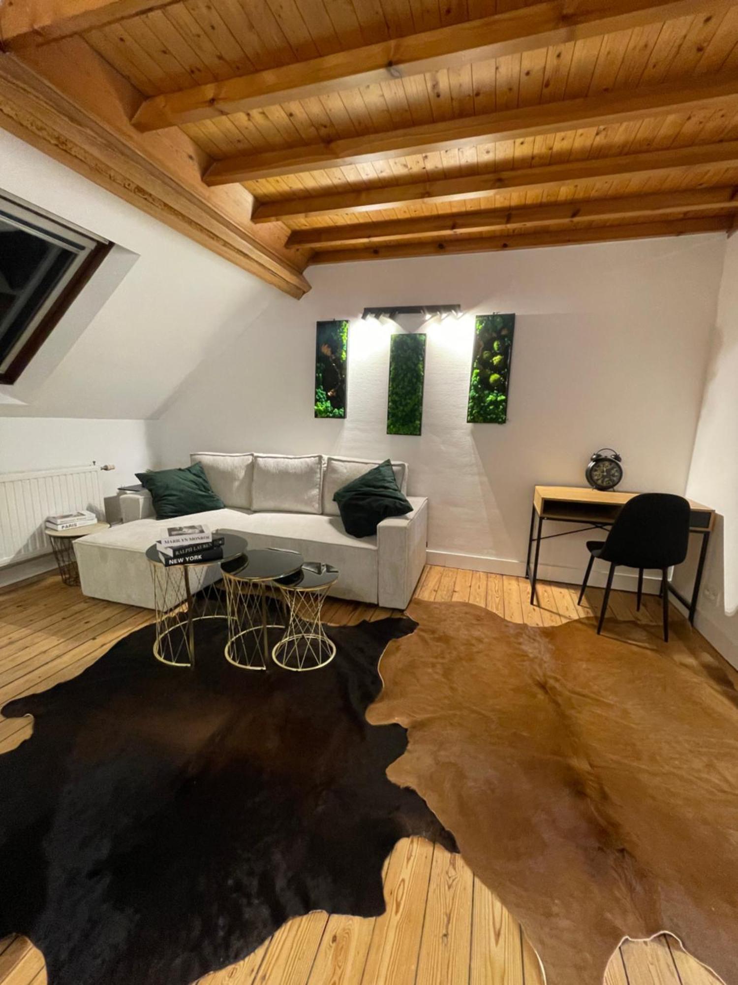 Appartamento Attic European Quarter Bruxelles Esterno foto